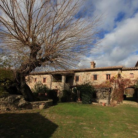 Antico Gelso Villa Todi Dış mekan fotoğraf